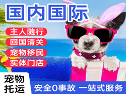 韶关机场空运国际宠物托运 【国